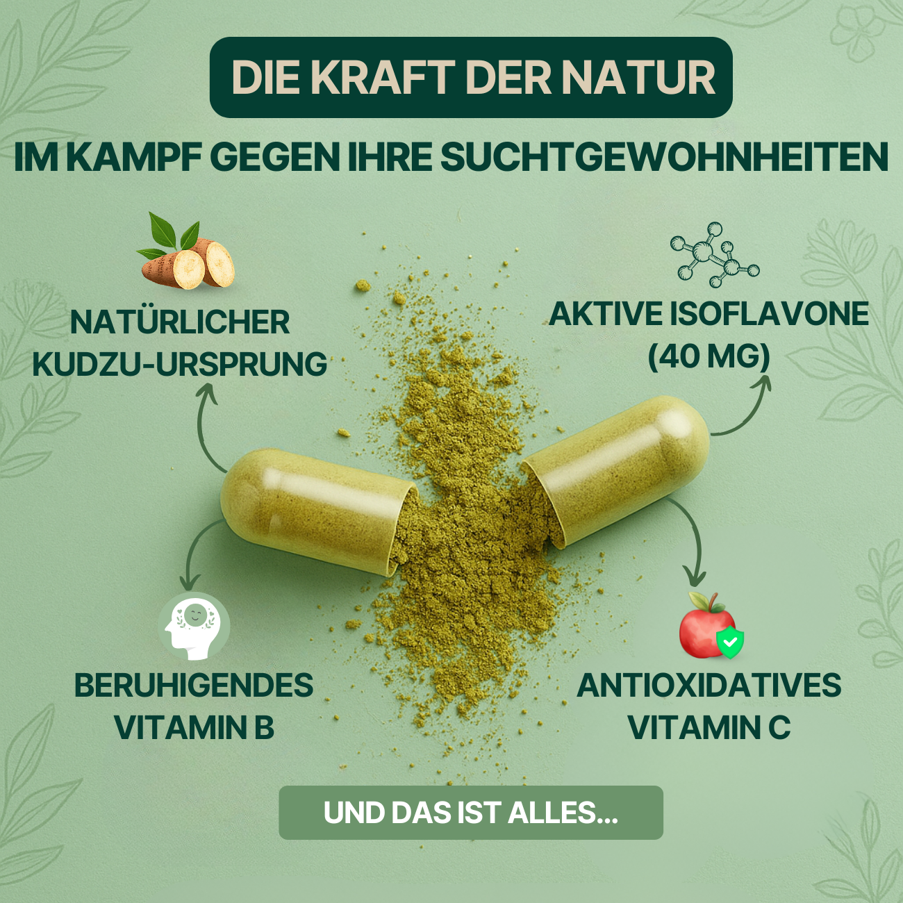Kudzu GrünVita 40 mg Isoflavon – 100% natürlich