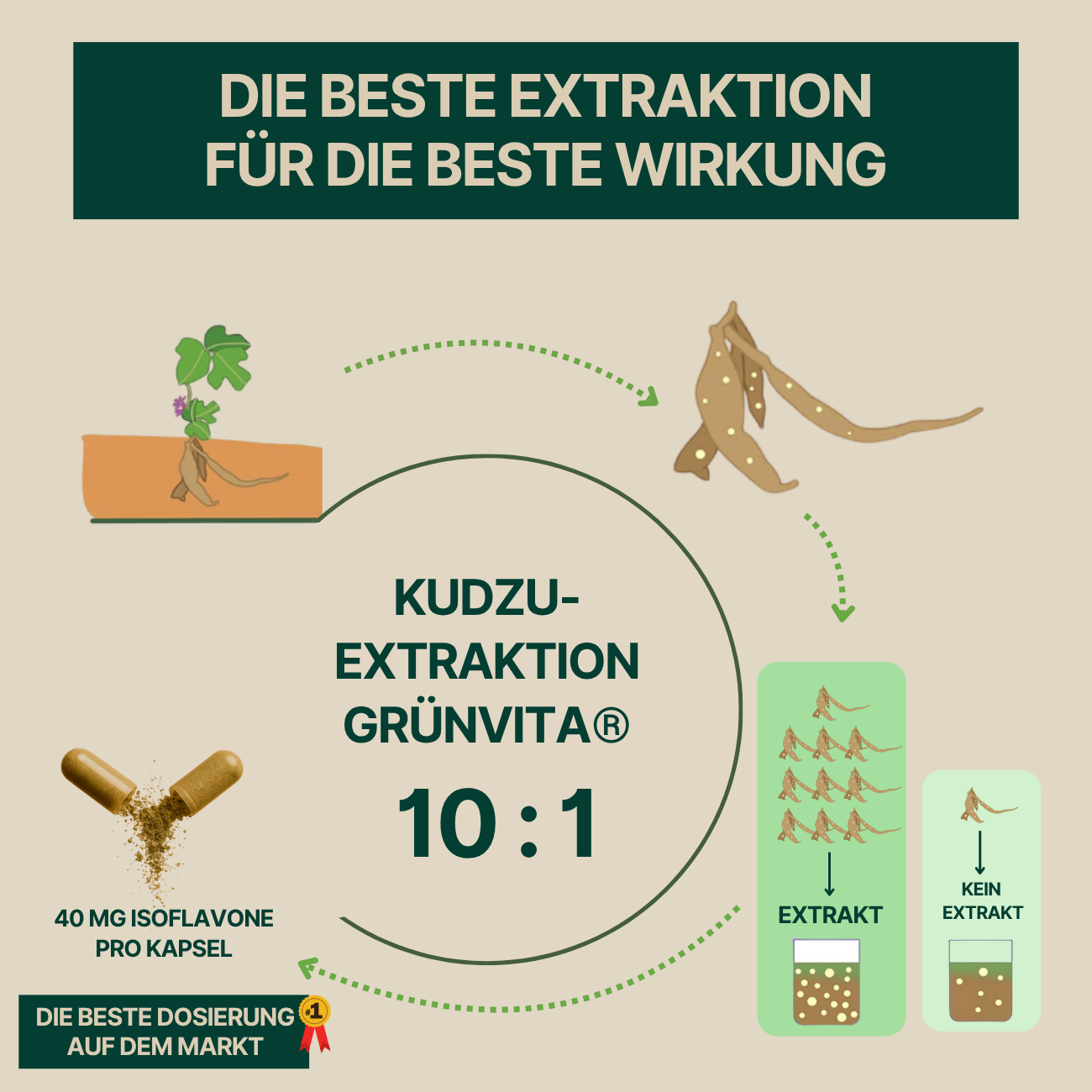 Kudzu GrünVita 40 mg Isoflavon – 100% natürlich